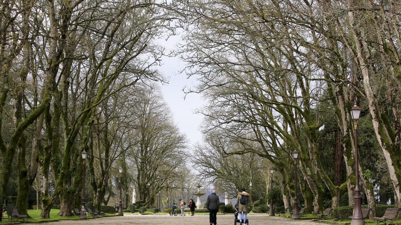 El parque Rosalía
