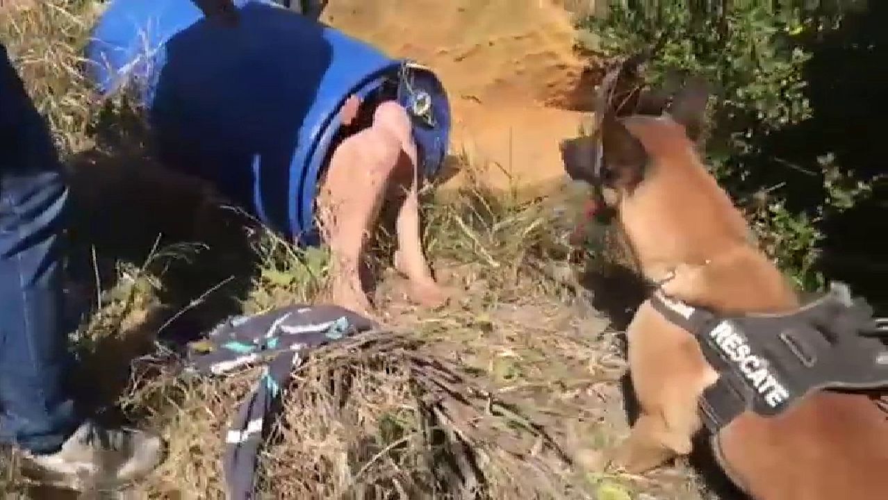El impactante momento en que un perro encuentra en un bid�n y semidesnuda a la presunta parricida de Godella.Marzo del 2019: en esta imagen, tomada hace unos diez d�as, el tablero derecho estaba a punto de llegar al estribo. Se completar� este mes.