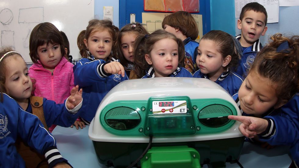 Proyecto voz natura en el colegio Jaime Balmes