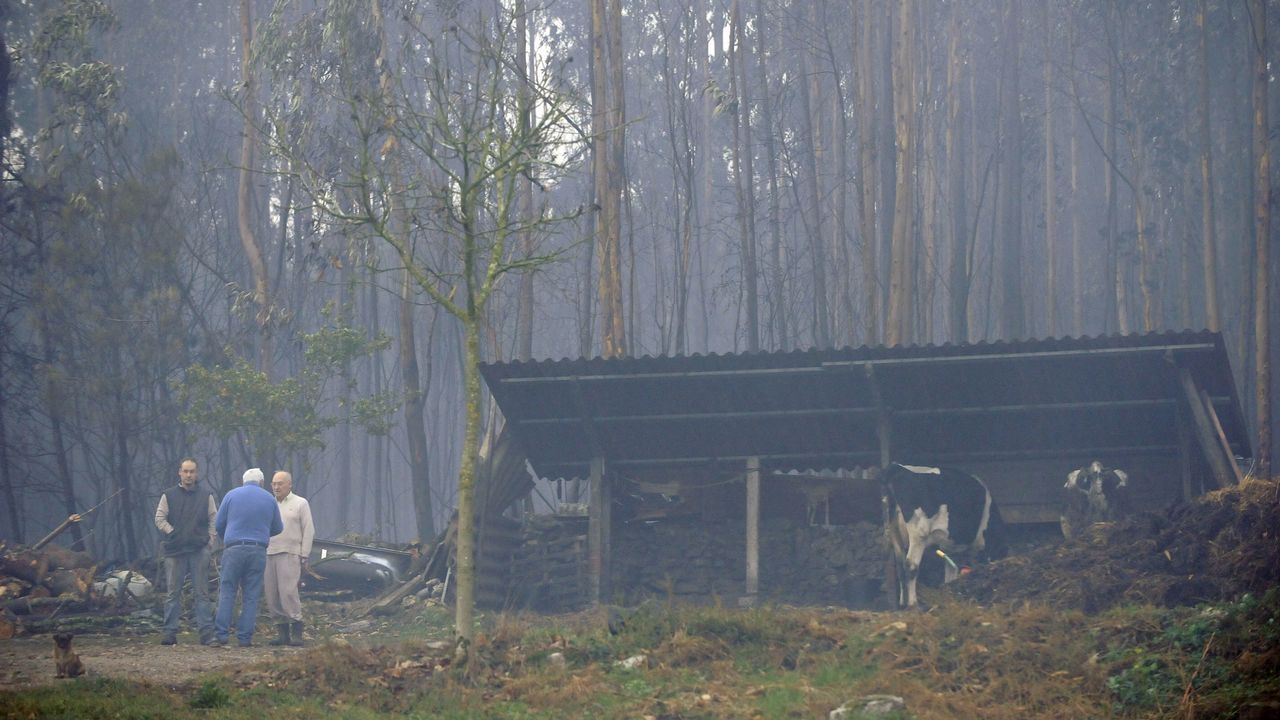 Incendio en Silleda, en la parroquia de Siador