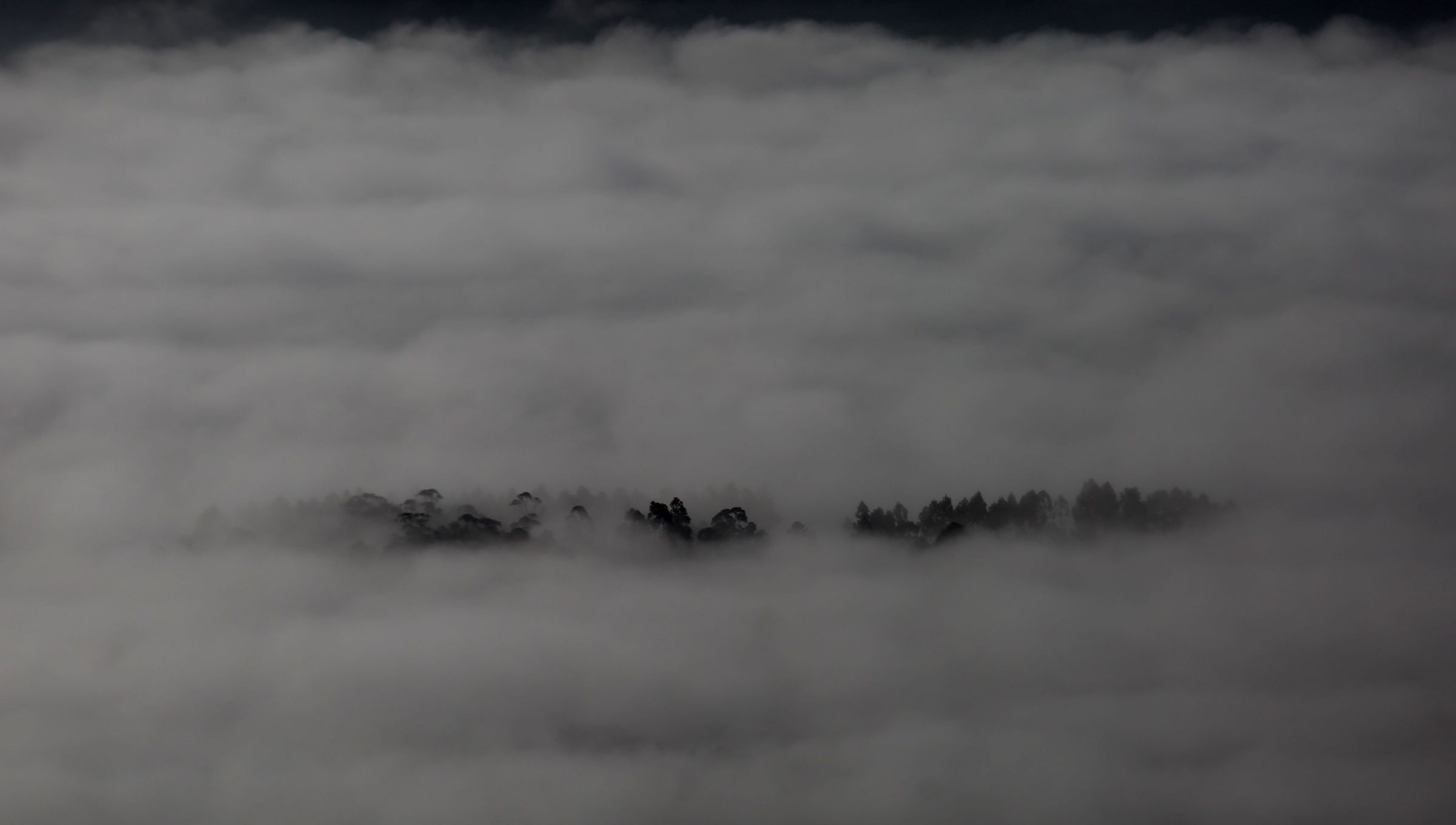 Un mar de brtema cobre o Val do Salns nunha fra ma de febreiro. 12/02/2025