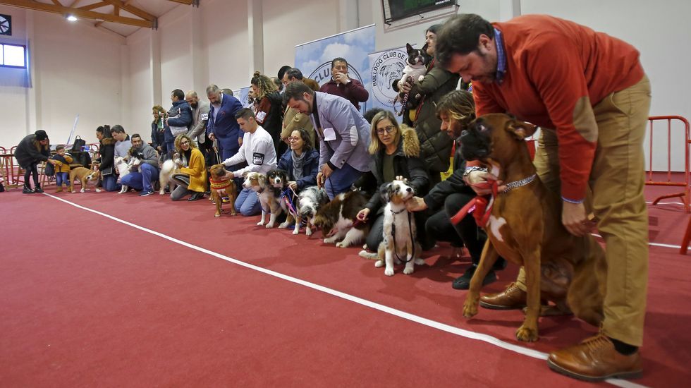 III Exposición Internacional Canina de Ponte Caldelas