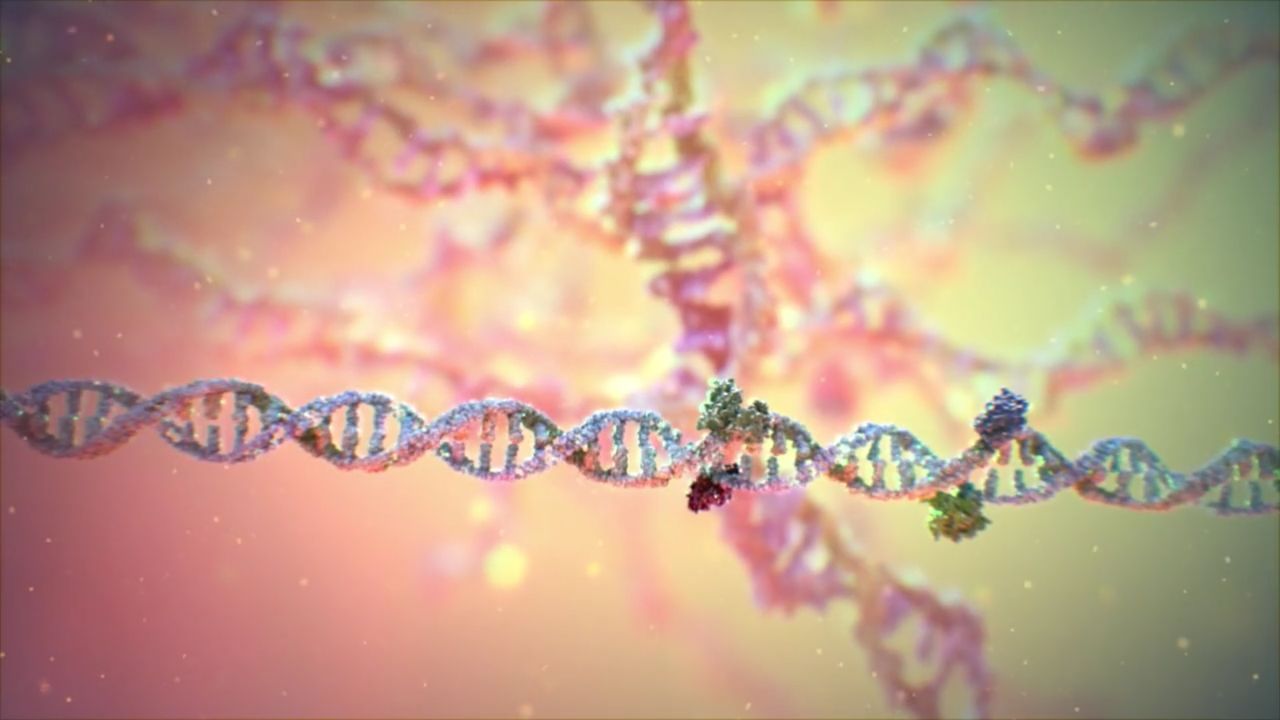 Hallan el agujero negro m�s antiguo jam�s observado.Edici�n de genes por el sistema CRISPR