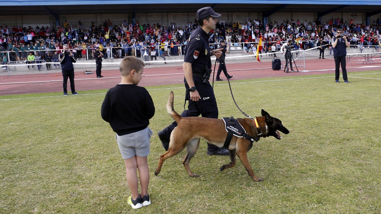 Exhibicion de la Policía Nacional para los escolares de Ribeira con helicoptero, caballería, perros de rastreo