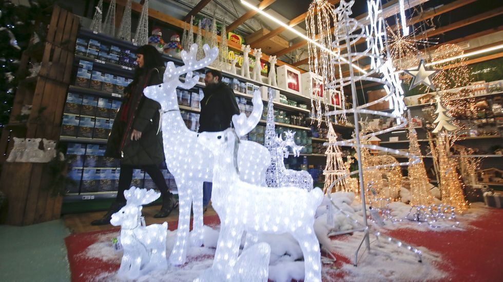 Navidad en Viveiros O Piñeiro