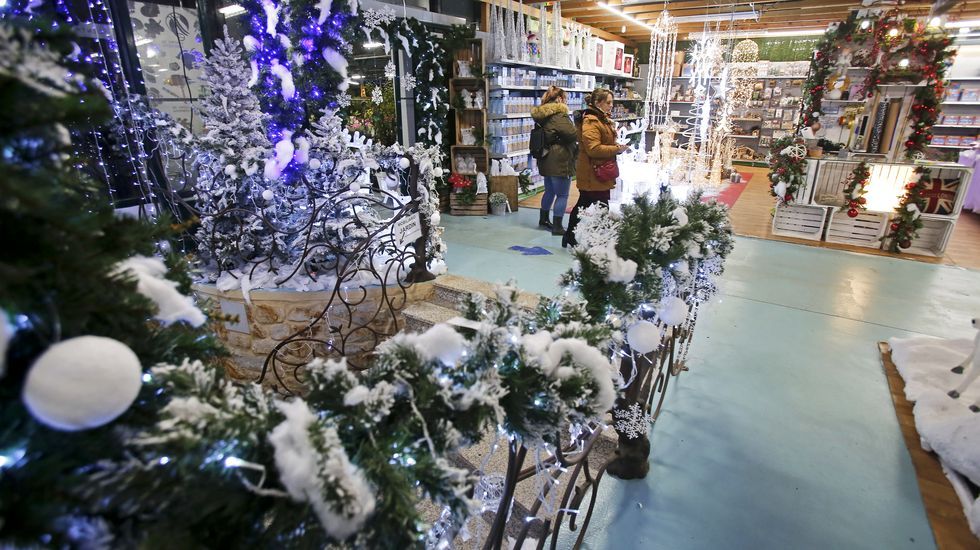 Navidad en Viveiros O Piñeiro
