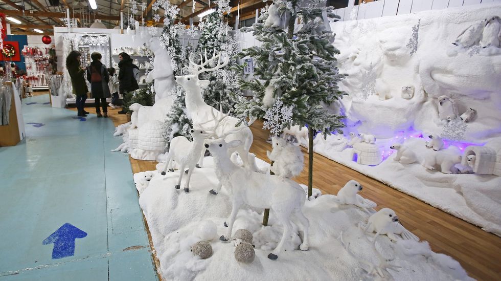 Navidad en Viveiros O Piñeiro