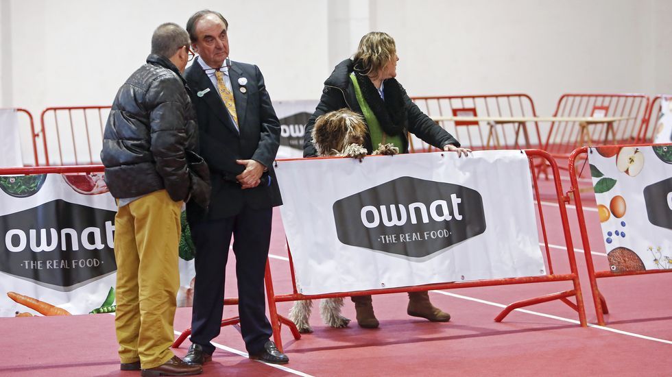 III Exposición Internacional Canina de Ponte Caldelas