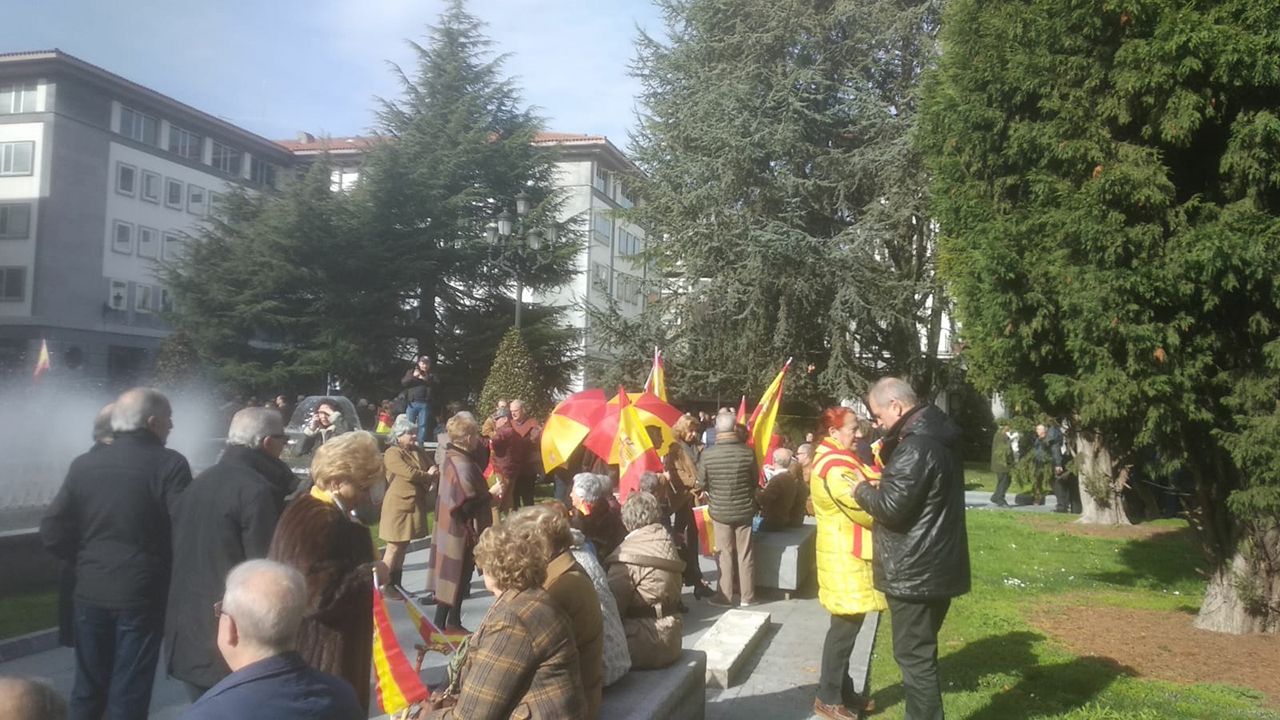 Manifestación por la unidad de España en Oviedo