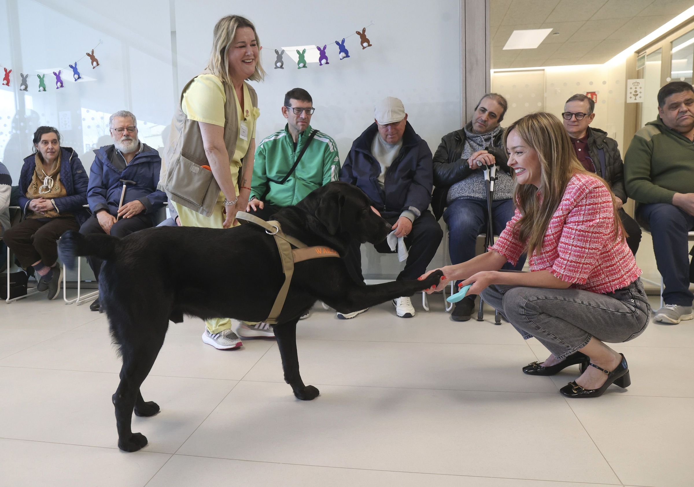 Un can que participa nas terapias a persoas maiores ou con discapacidades, sauda  Conselleira de Benestar Fabiola Garca. 04/04/2025