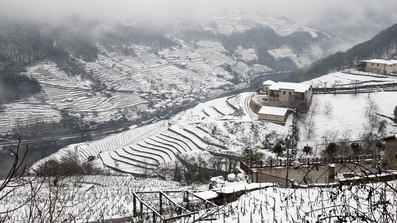 La nieve que deja el temporal cubre los bancales de las viñas de la Ribeira de A Ermida.