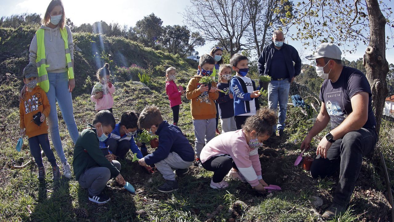 La comunidad de montes de Baroña continua con su bosque comestible