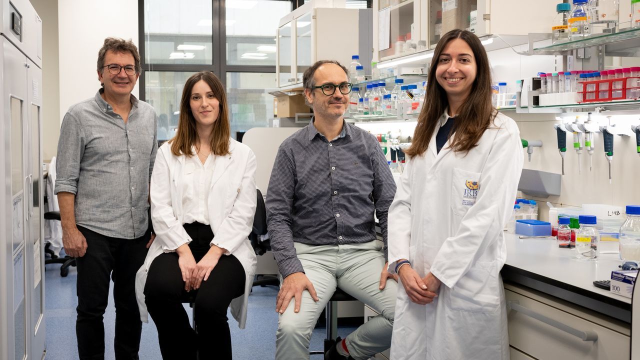Investigadores del IRB de Barcelona que han descubierto un mecanismo clave relacionado con la mayor parte de los casos de autismo
