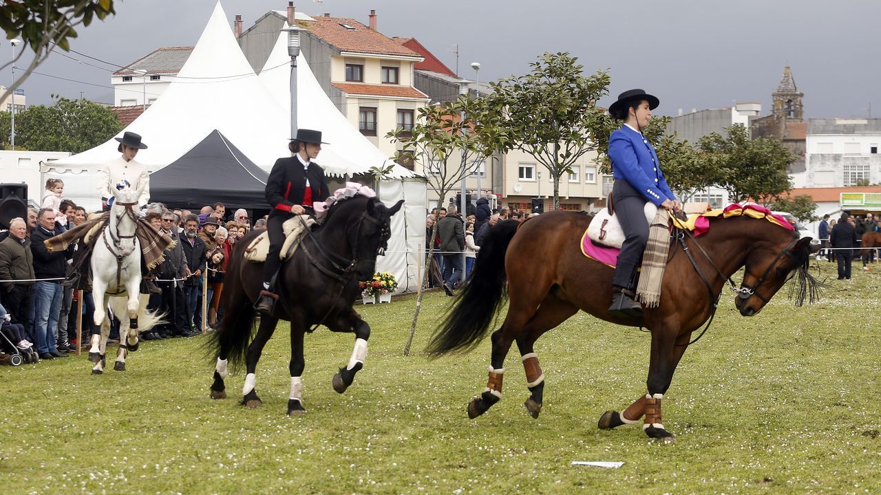 Feria caballar en las Fiestas de San Marcos 2019
