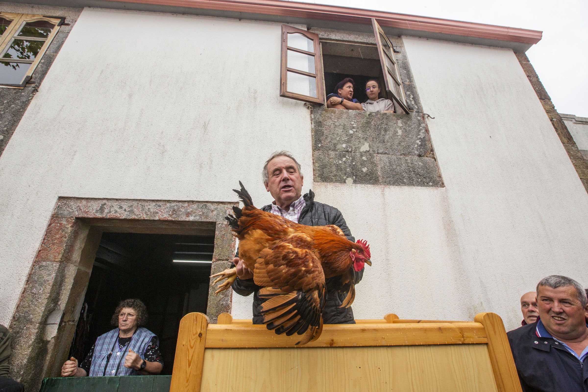Subasta de polos na festividade de San Adrin da Pia, en Carballo. 16/06/2024