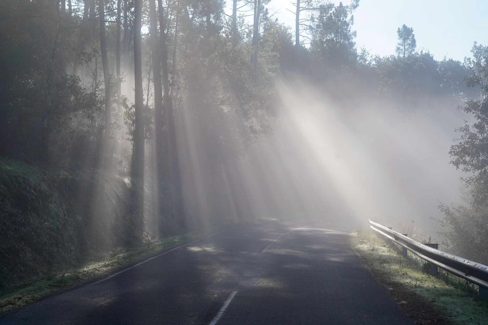 O sol atravesando a nboa na estrada de Trasalba. 27/11/2024