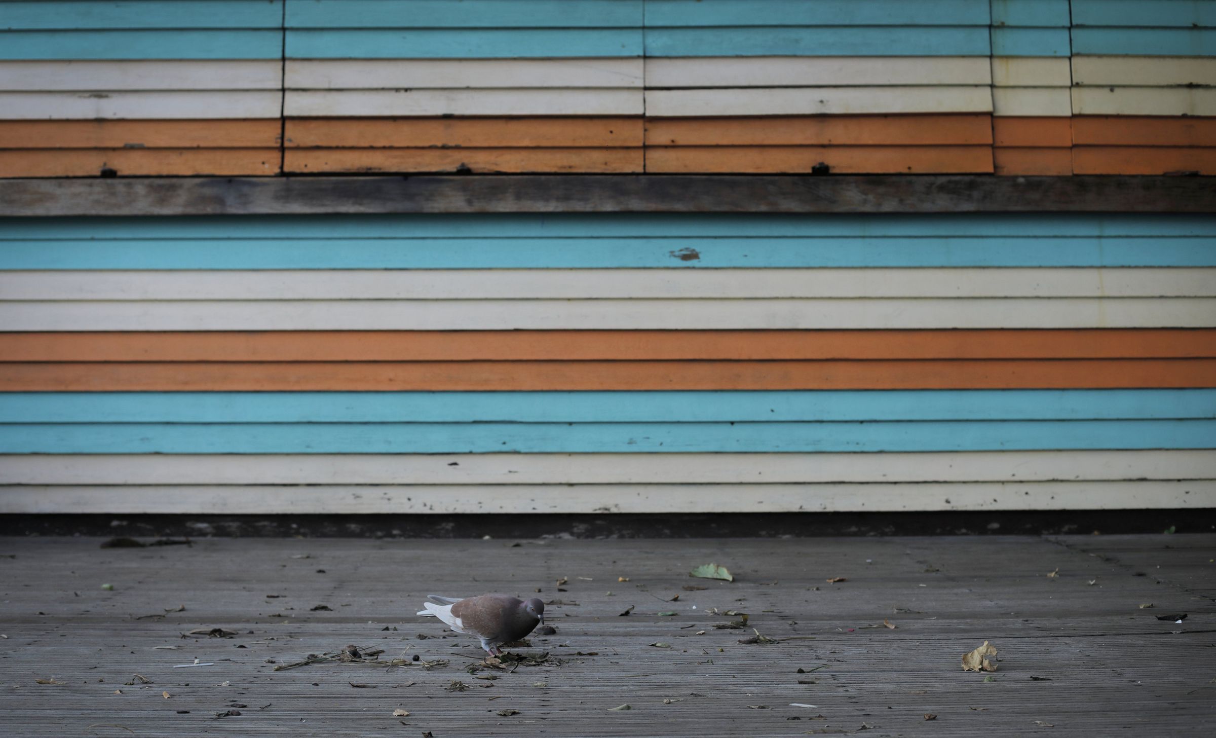En las plantas del mercado se vende todo tipo de productos, si bien las frutas y el pescado, tienen mayor peso