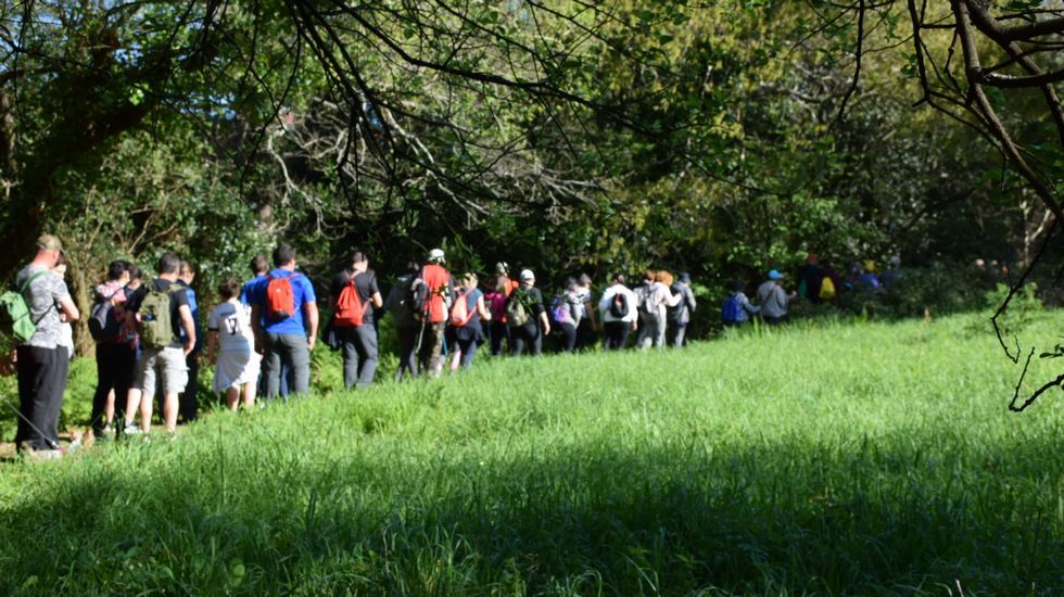 Cee tiene un pulm�n verde, y as� es: �mira las im�genes!