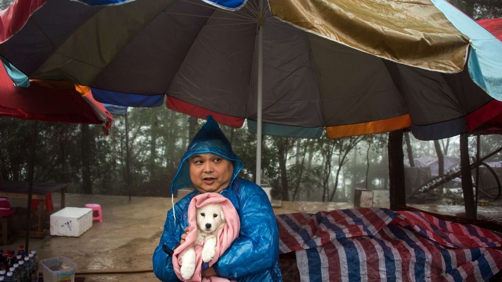 Un hombre cubre a su mascota de dos meses con una manta en un área vacacional en la provincia china de Hunan.