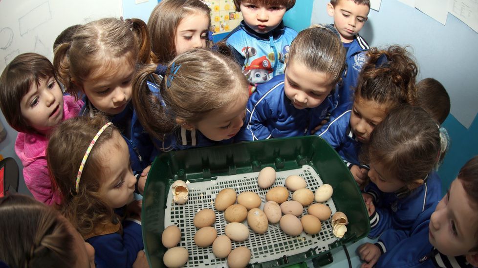 Proyecto voz natura en el colegio Jaime Balmes