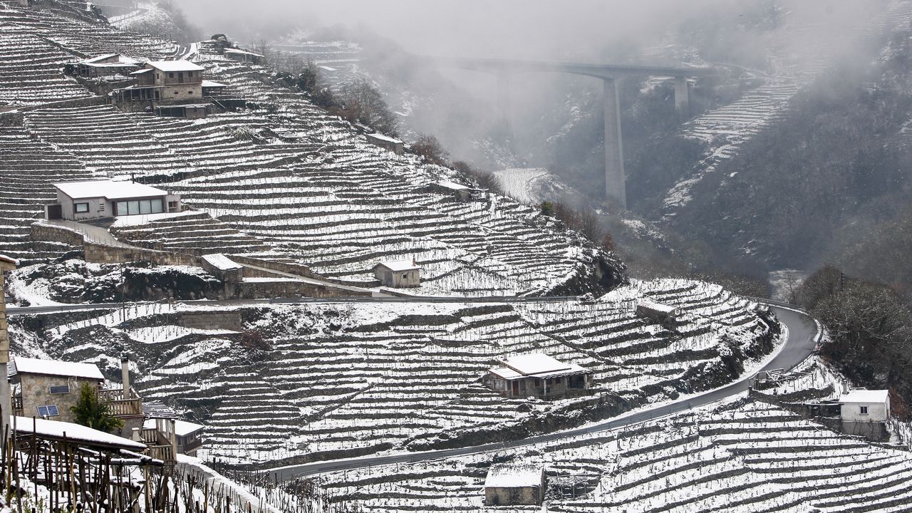 La nieve que deja el temporal cubre los bancales de las viñas de la Ribeira de San Fiz.