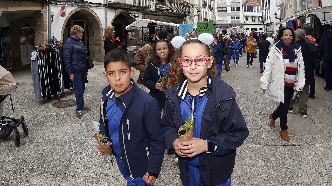 Voz Natura final del colegio Jaime Balmes, entrega de brotes de hortalizas de su huerto escolar 2020