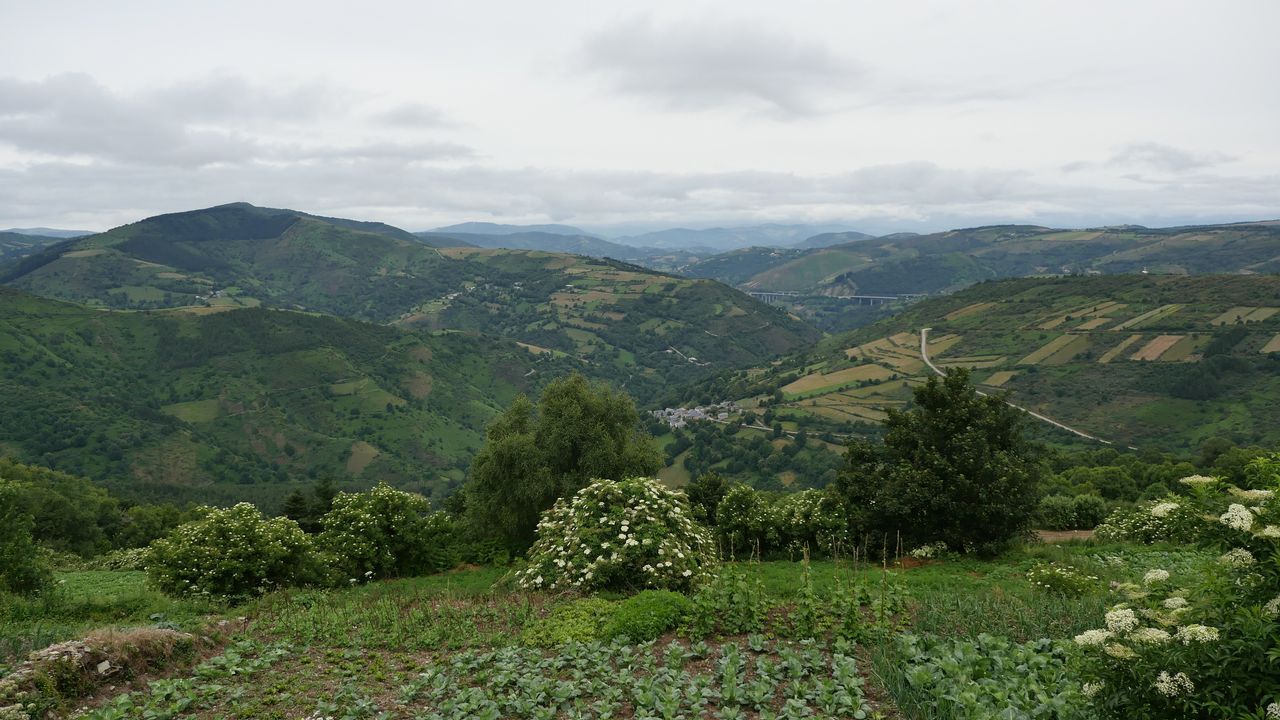 Vistas desde O Cebreiro