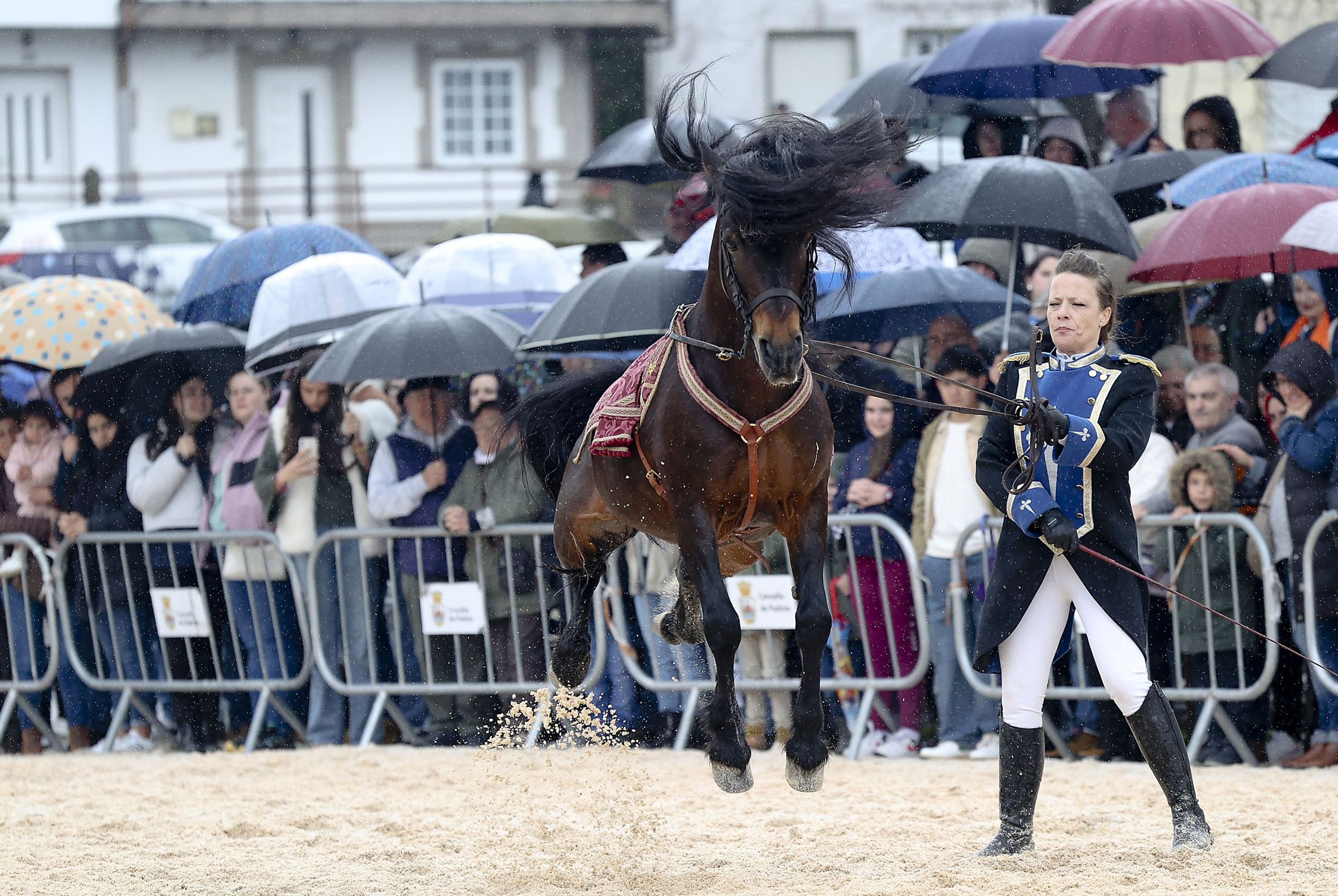 Demostracin cabalar na feira de Pascua en Padrn. 20/04/2025