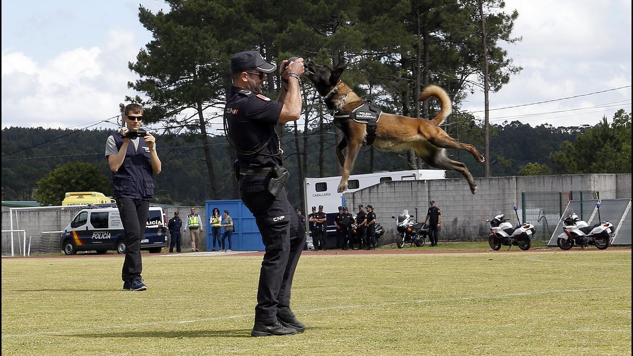 Exhibicion de la Policía Nacional para los escolares de Ribeira con helicoptero, caballería, perros de rastreo