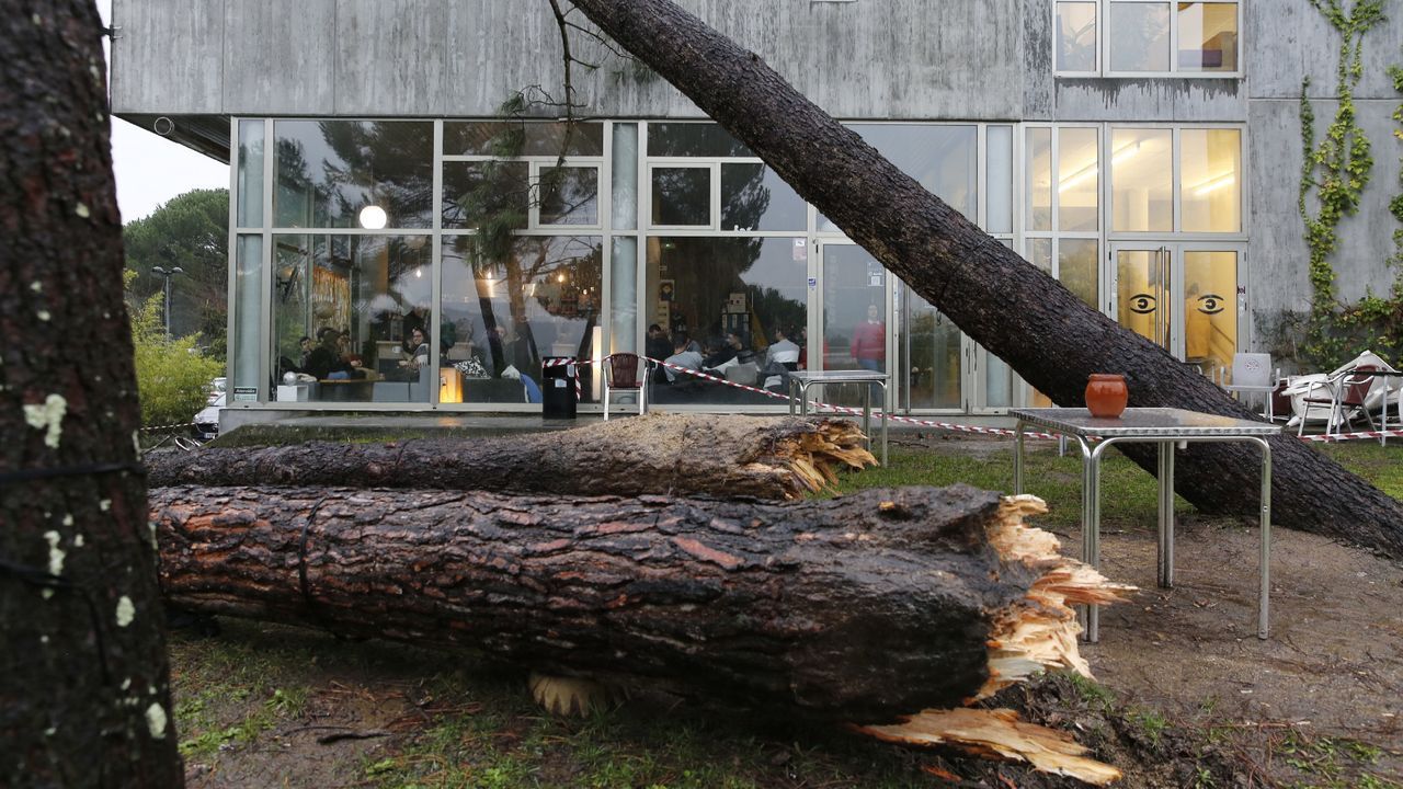 ASÍ HA CASTIGADO EL TEMPORAL A OURENSE.Las comarcas de A Limia y de Verín han sufrido daños en el campo y en edificaciones