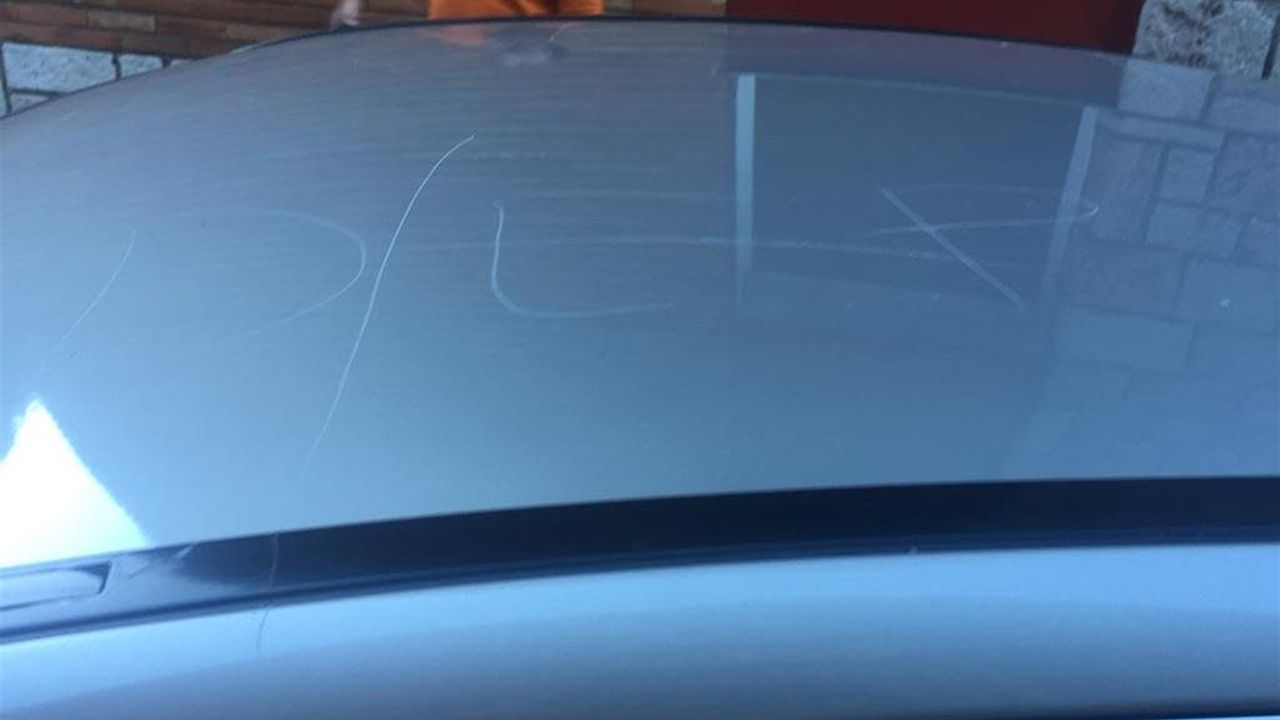 Aparece muerto el delf�n de Llanes.El coche del concejal de IU en Riosa rayado