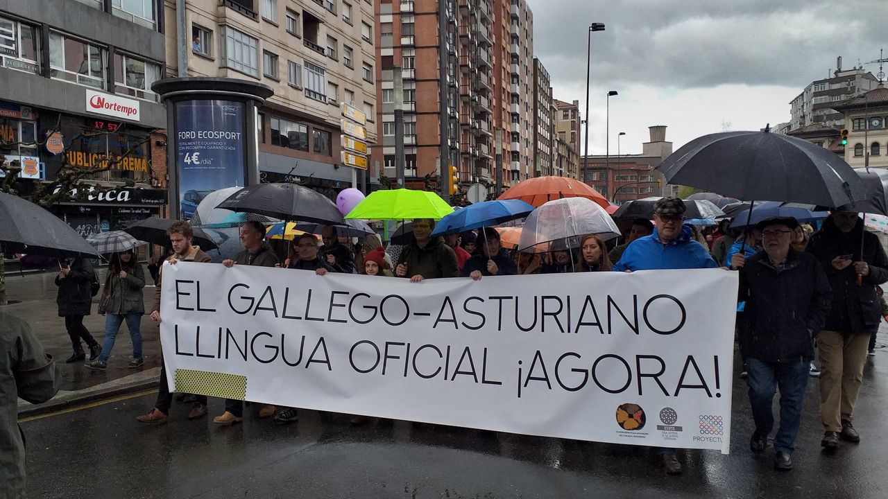 Manifestación por la oficialidad