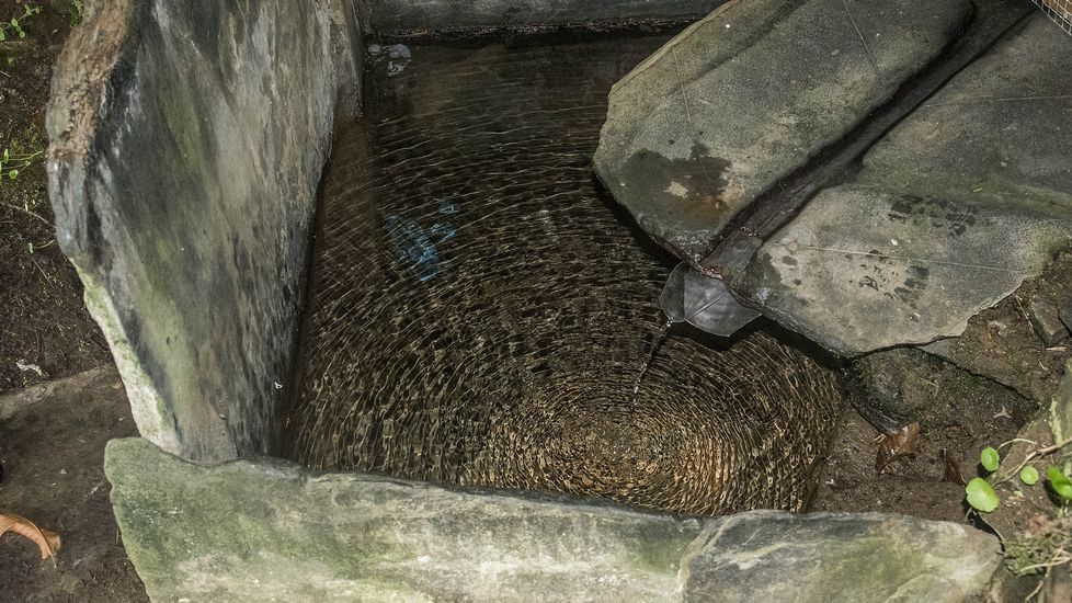 Pila de la Fonte de Abaixo