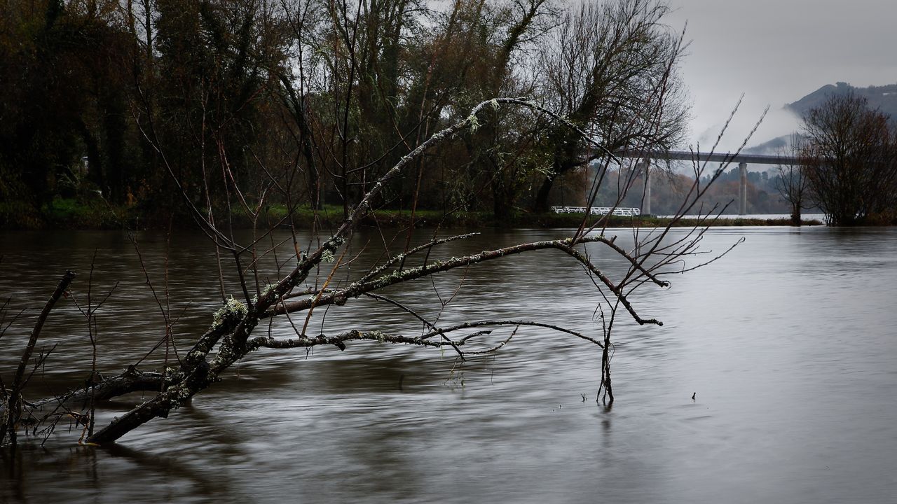 ASÍ HA CASTIGADO EL TEMPORAL A OURENSE.Vista de la crecida del Río Miño desde la Zona Termal de Barbantes.