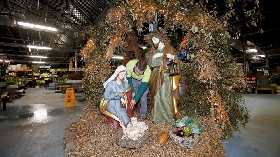 Navidad en Viveiros O Piñeiro