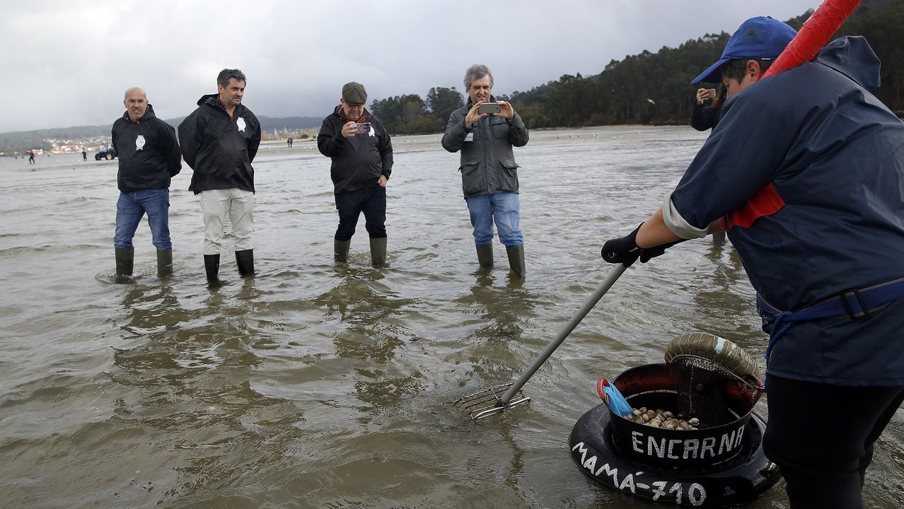 Alberto Chicote visita los bancos marisqueros de Testal en Noia