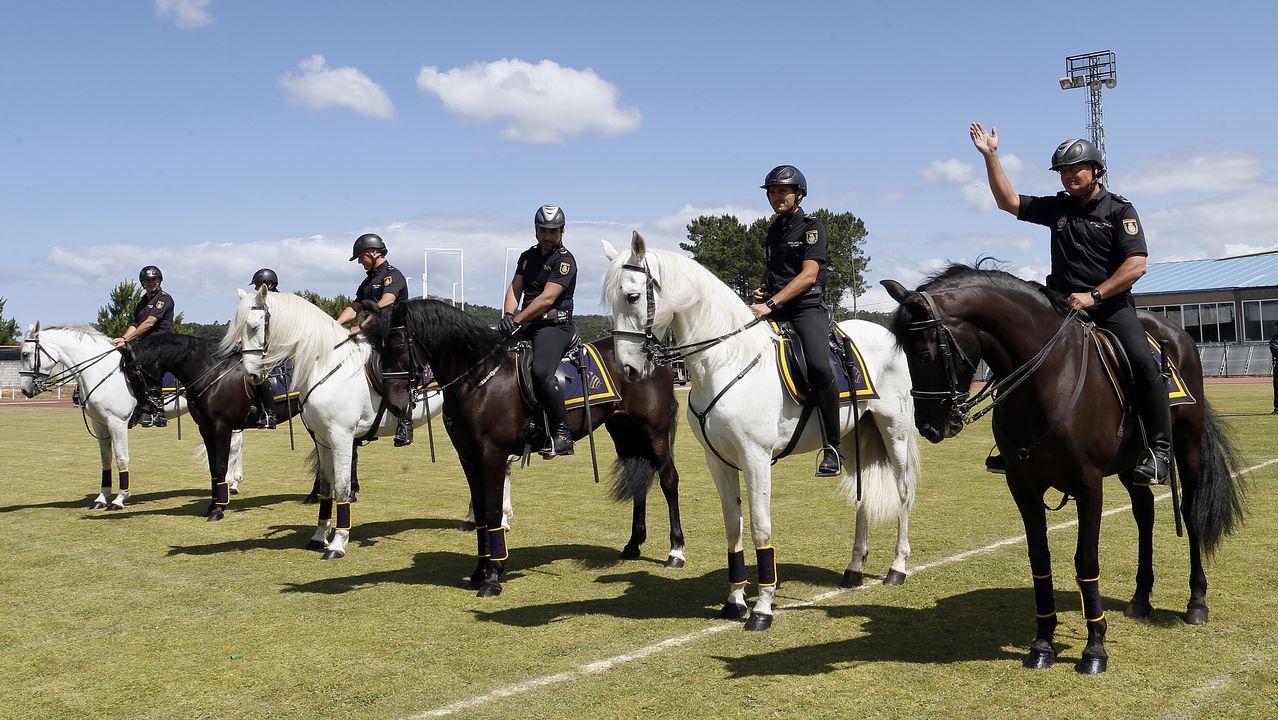 Exhibicion de la Policía Nacional para los escolares de Ribeira con helicoptero, caballería, perros de rastreo