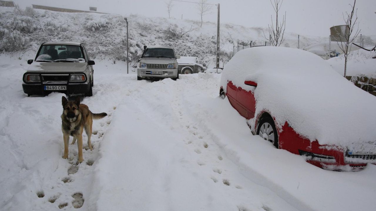 Esta ha sido la primera nevada importante del otoño del 2020