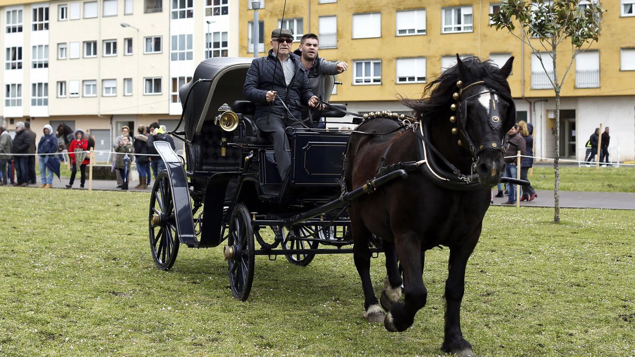 Feria caballar en las Fiestas de San Marcos 2019