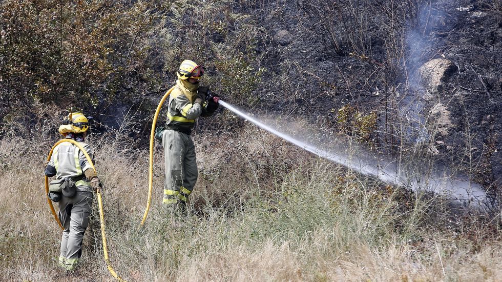 Incendio forestal en Aguasantas