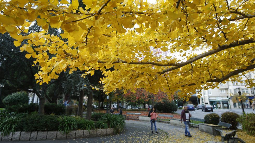 Otoño en Cuatro Caminos