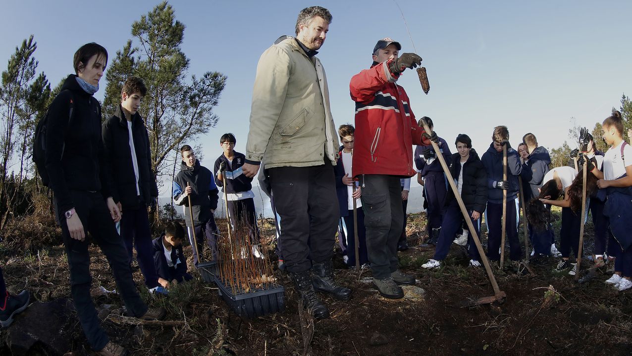 Salida de reforestación en Lousame-Noia, plantación de árboles en Froxán alumnos del colegio Colegio San José de Cluny