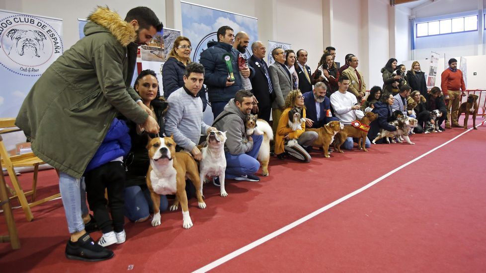 III Exposición Internacional Canina de Ponte Caldelas