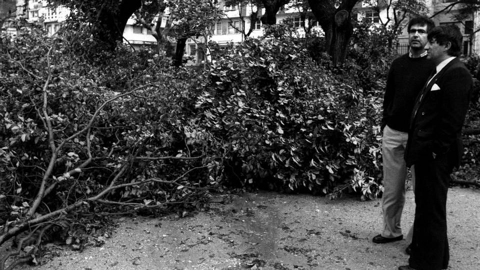 Coche aplastado por un árbol derribado en San Caetano, Santiago.