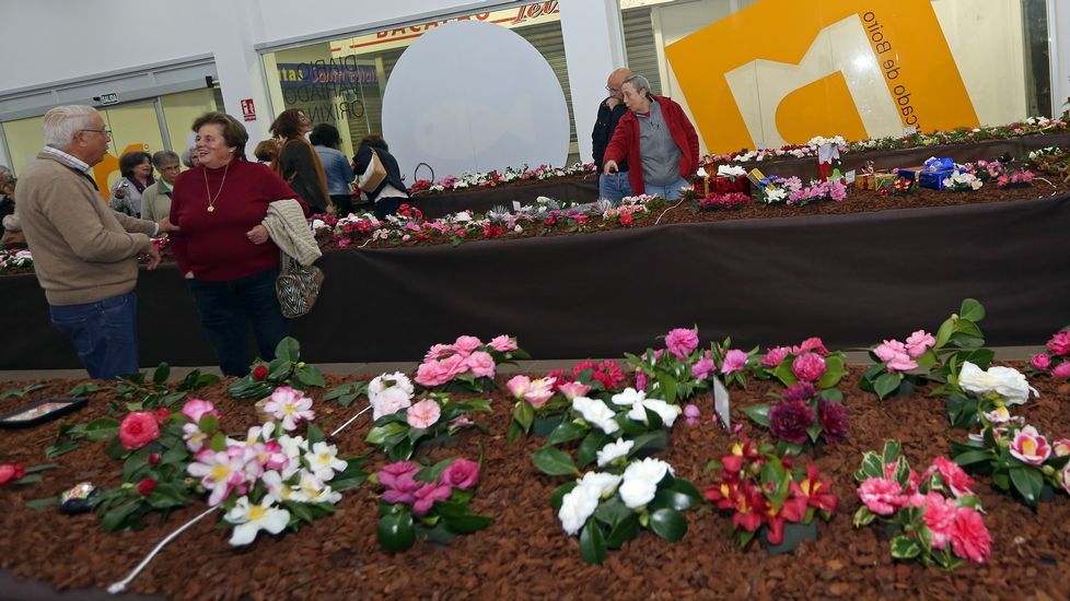 Exposición de la camelia en Boiro