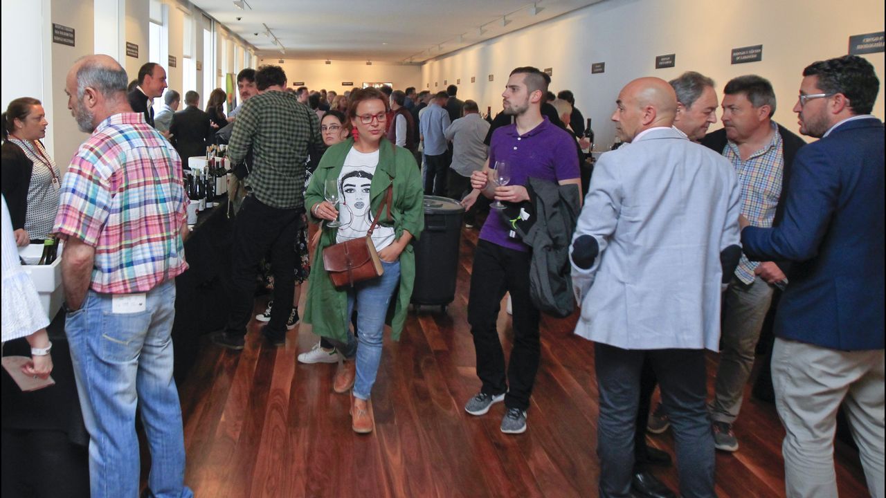 Túnel del vino en Fevino