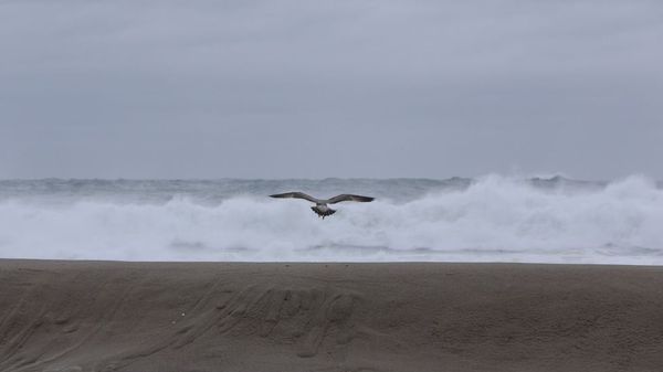 Fuerte oleaje en la costa gallega
