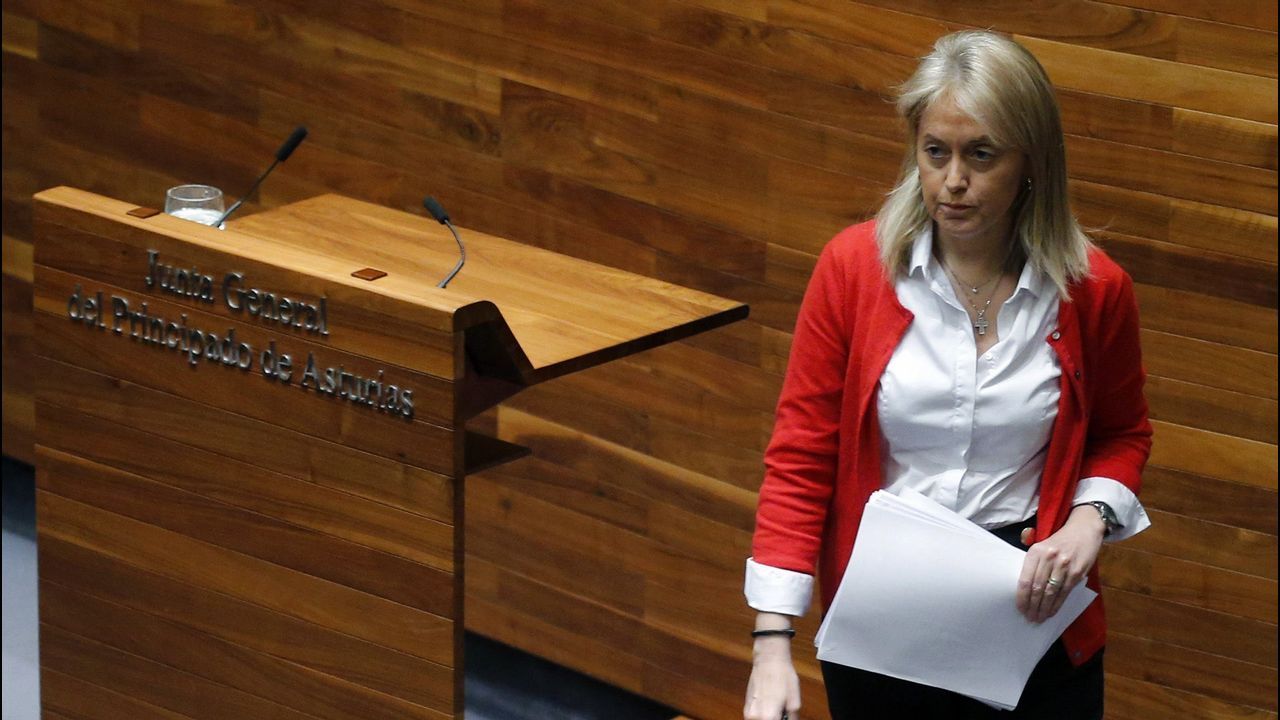 La expresidenta de Foro, Cristina Coto, anunció su dimisión en junio tras ser desautorizada por la Comisión Directiva del partido en relación a su decisión de cambiar la situación laboral de una de las asesoras del grupo parlamentario.