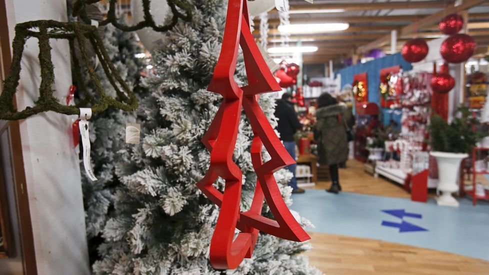 Navidad en Viveiros O Piñeiro