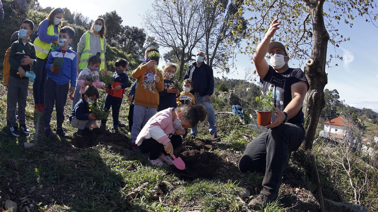 La comunidad de montes de Baroña continua con su bosque comestible